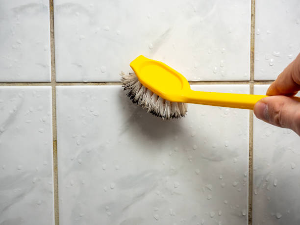 Trusted Butler, IN Mold Removal Experts