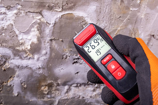 Certified Mold Removal in Butler, IN