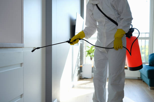 Best Toxic Mold Removal  in Butler, IN