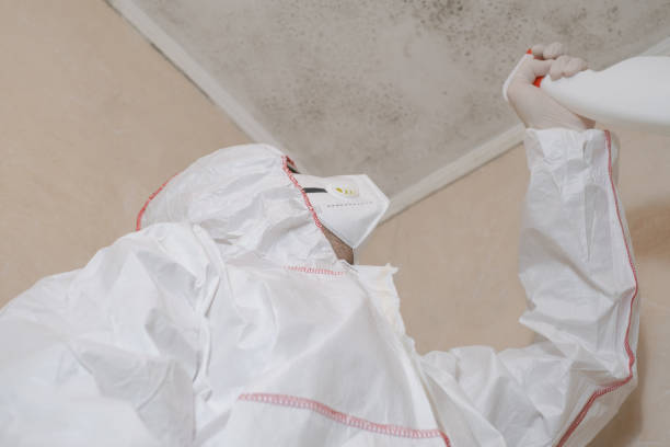 Best Professional Mold Removal  in Butler, IN