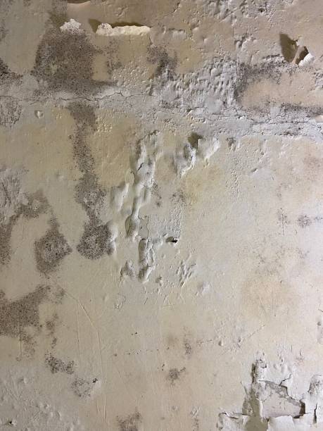 Water Damage Restoration in Butler, IN